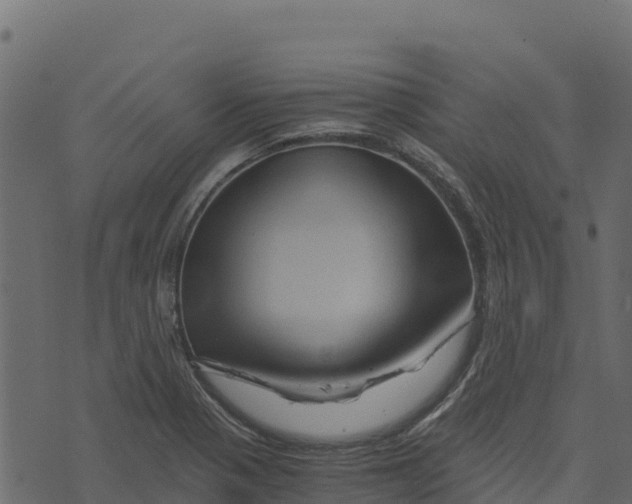 X0000073431321200608251605