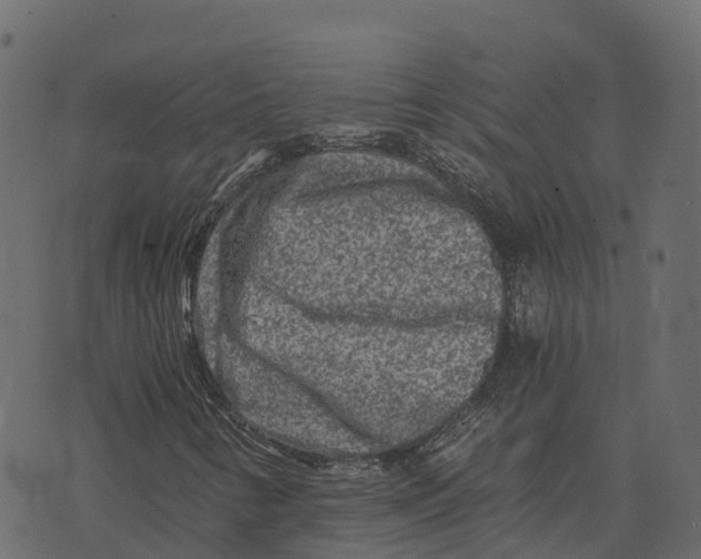 X0000073431346200608251605