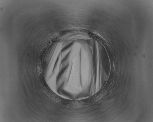 X0000073431348200608251605