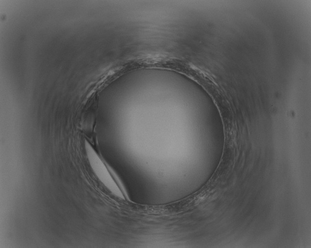 X0000073431349200608251605