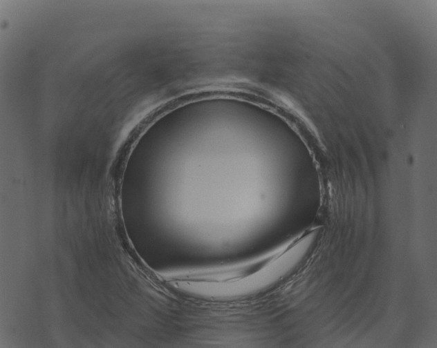 X0000073431360200608251605