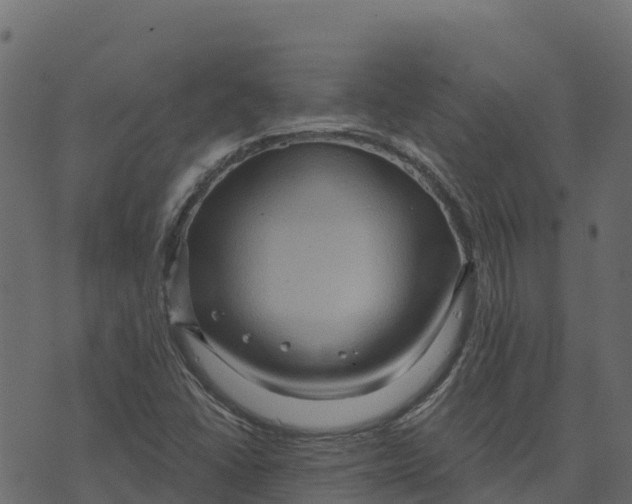 X0000073431406200608251604