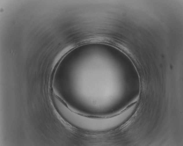 X0000073431426200608251604