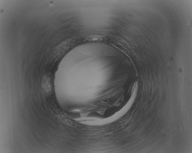 X0000073431442200608251603