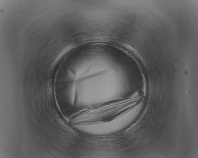 X0000073431450200608251603