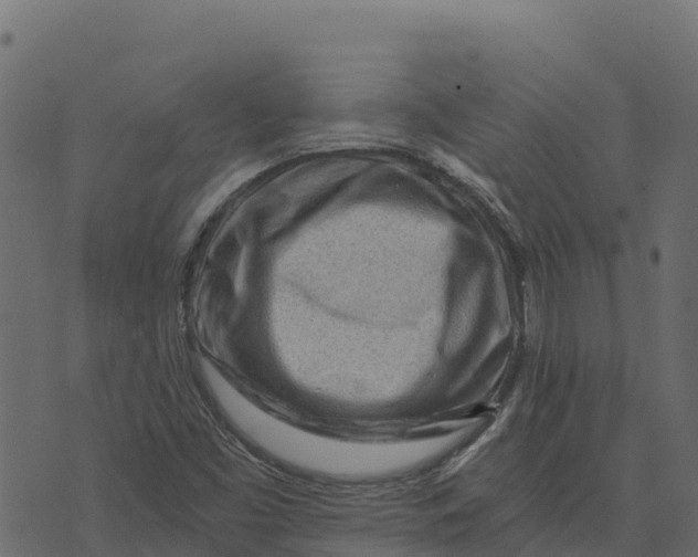X0000073431453200608251603