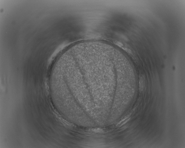 X0000073431454200608251603