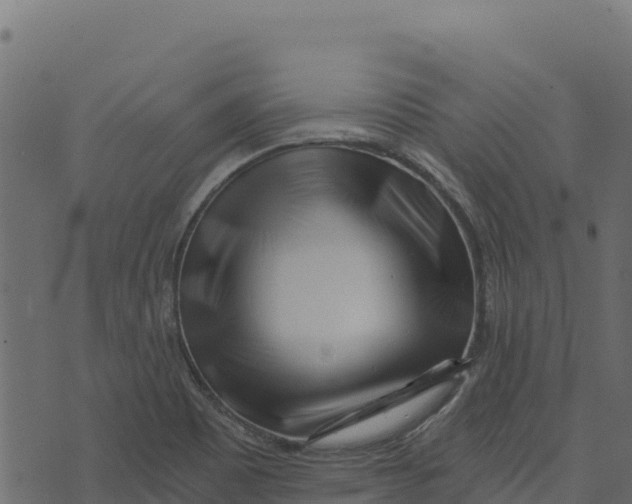 X0000073431465200608251603