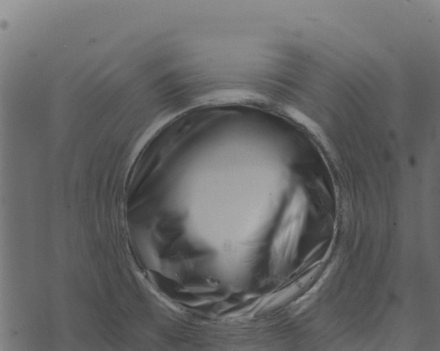 X0000073431473200608251603