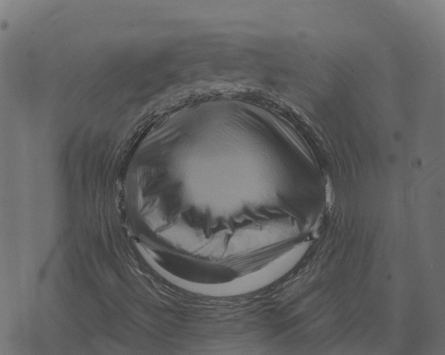 X0000073431492200608251602