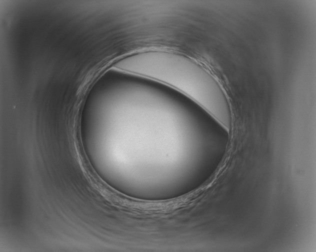 X0000073440001200607281043