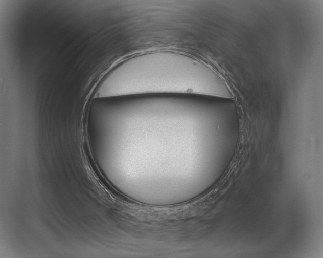 X0000073440002200607281043