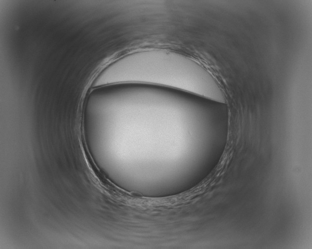 X0000073440003200607281043