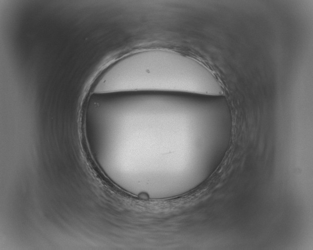 X0000073440006200607281043