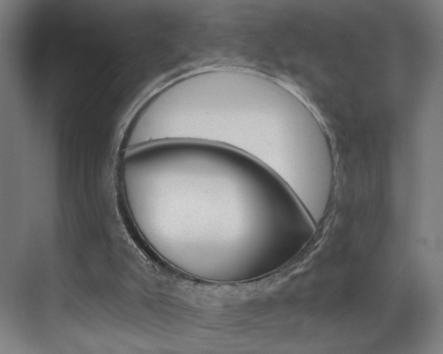 X0000073440007200607281043