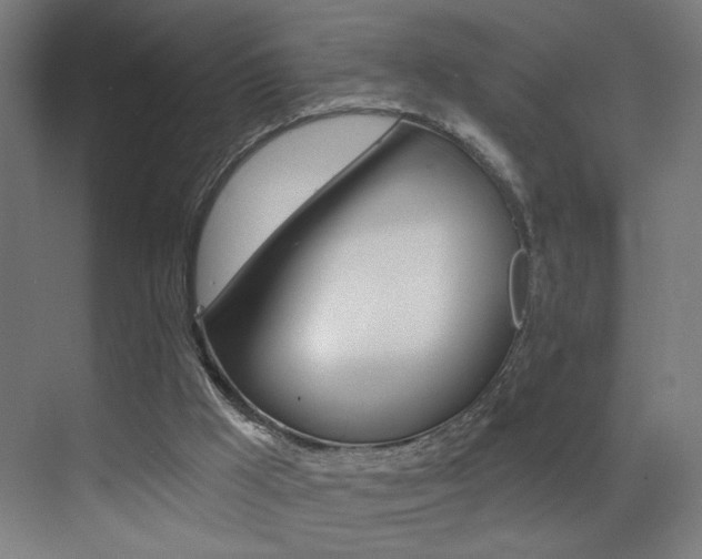 X0000073440009200607281043