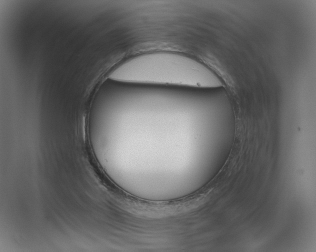 X0000073440014200607281043