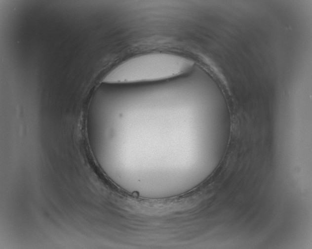 X0000073440018200607281043
