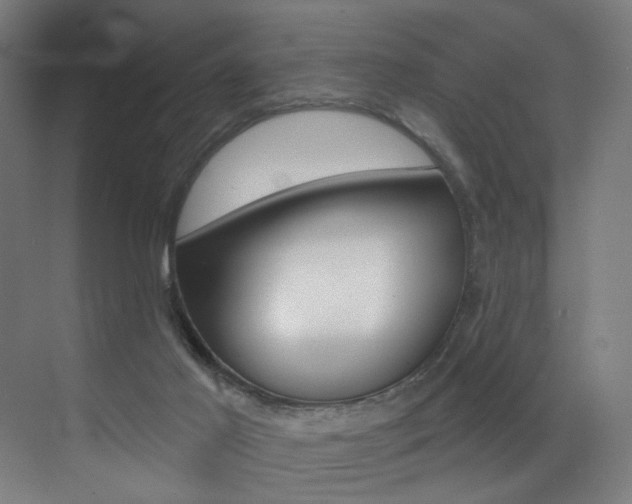 X0000073440021200607281043