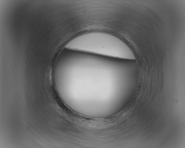 X0000073440024200607281043