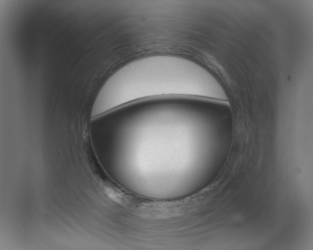 X0000073440025200607281043