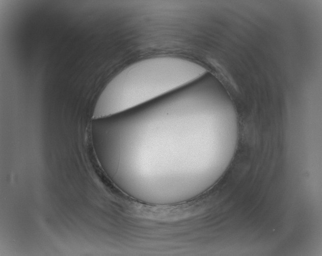 X0000073440026200607281043