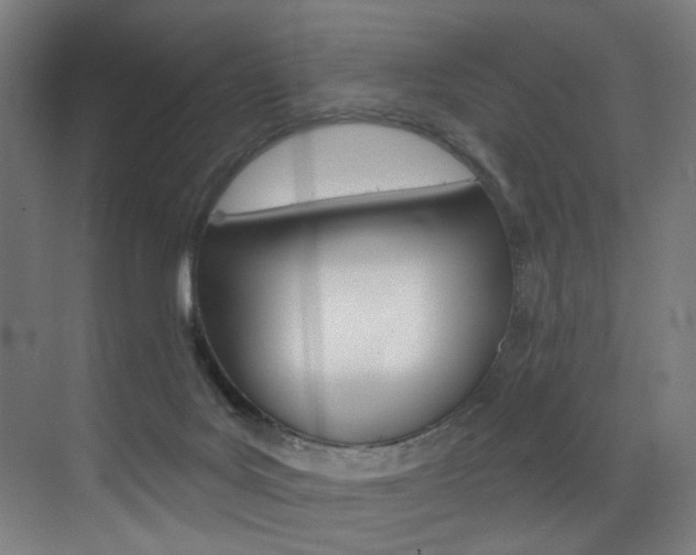 X0000073440027200607281043