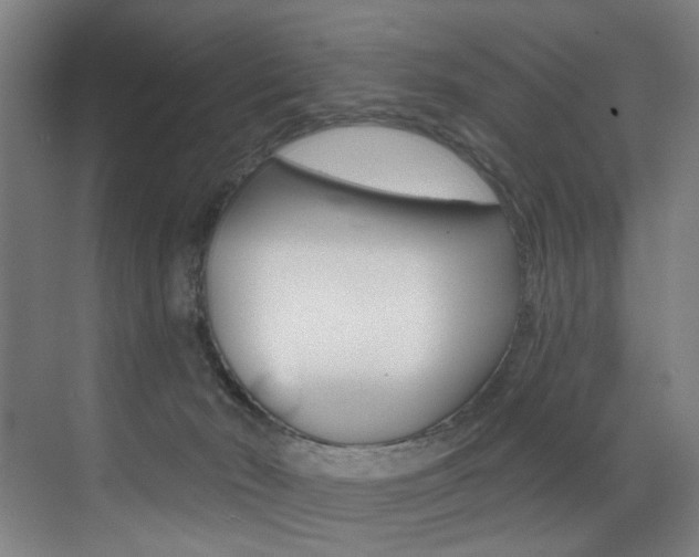 X0000073440030200607281043
