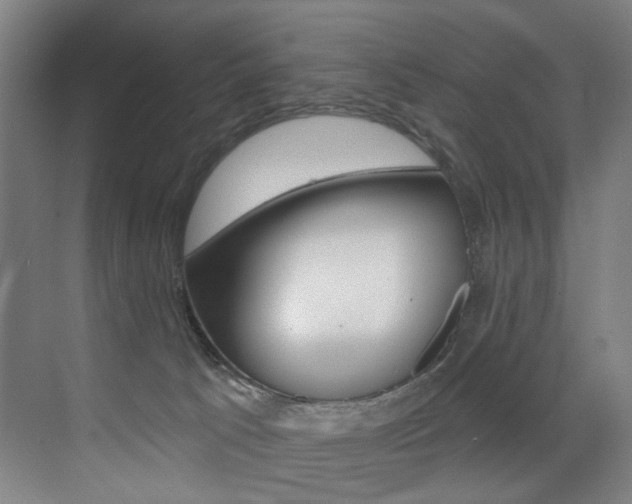 X0000073440033200607281043