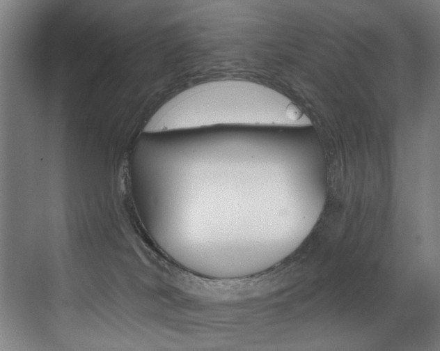X0000073440038200607281042