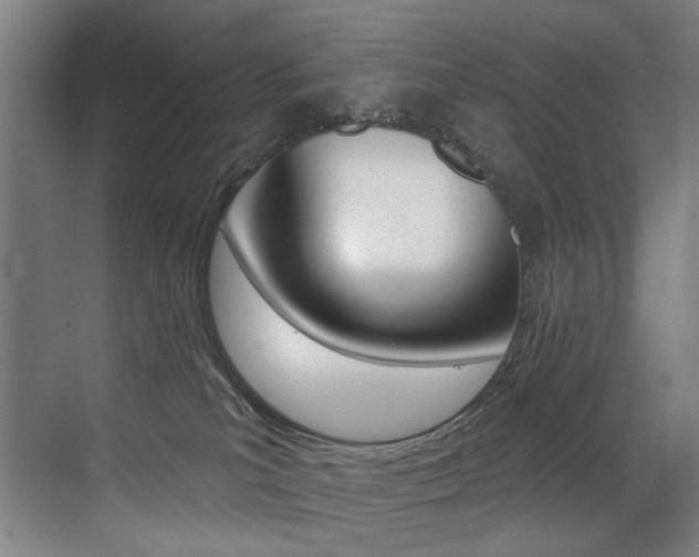 X0000073440039200607281042
