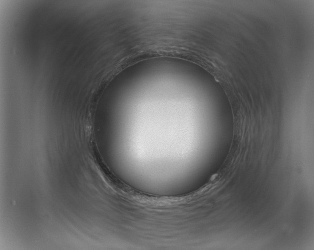 X0000073440040200607281042