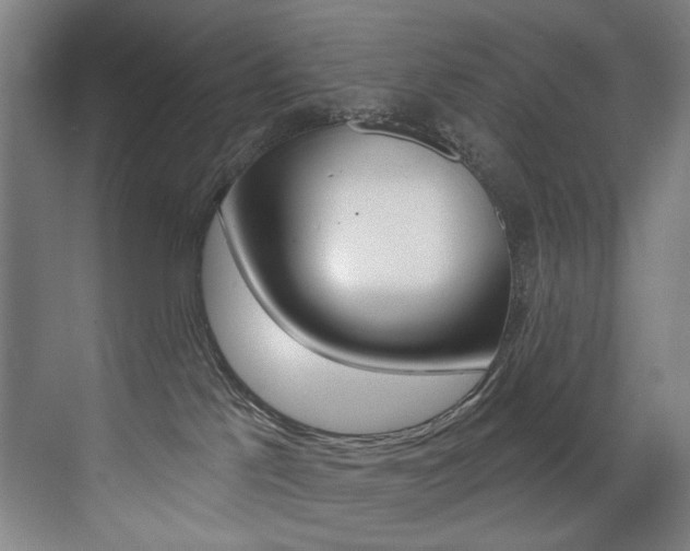 X0000073440041200607281042