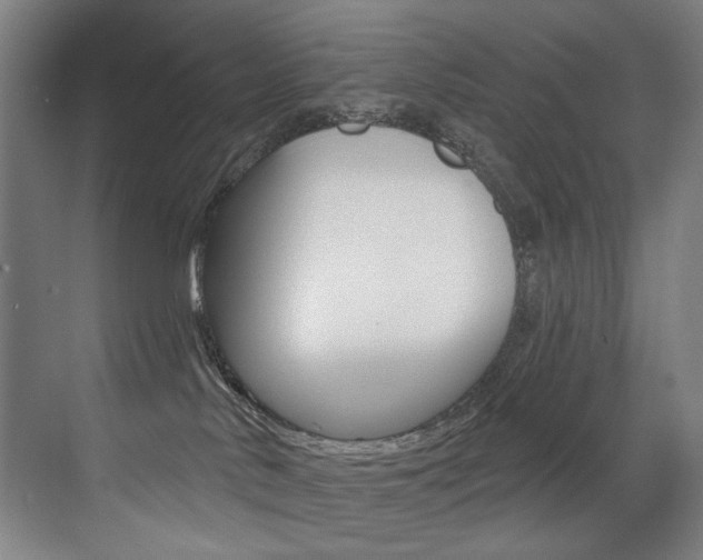 X0000073440042200607281042