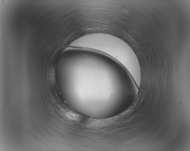 X0000073440045200607281042