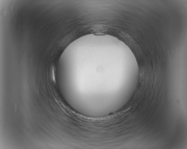 X0000073440046200607281042