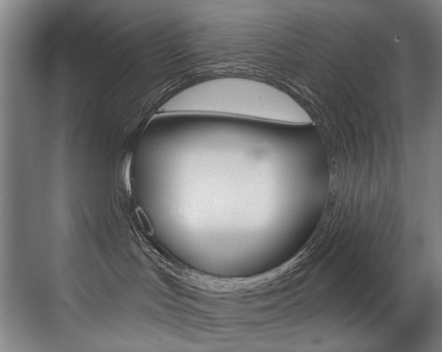 X0000073440047200607281042