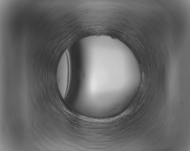 X0000073440048200607281042