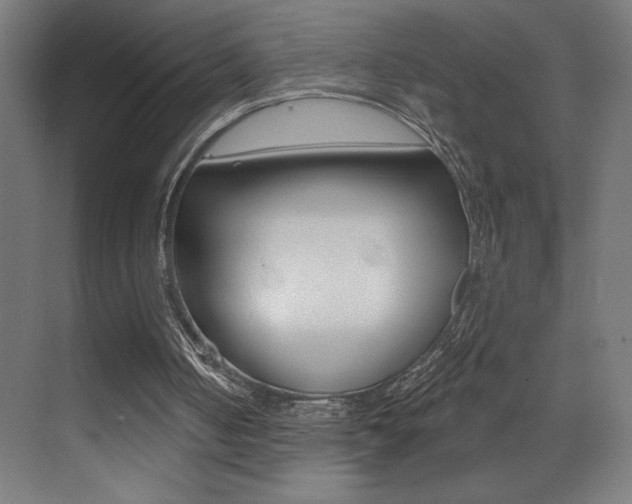 X0000073440050200607281042