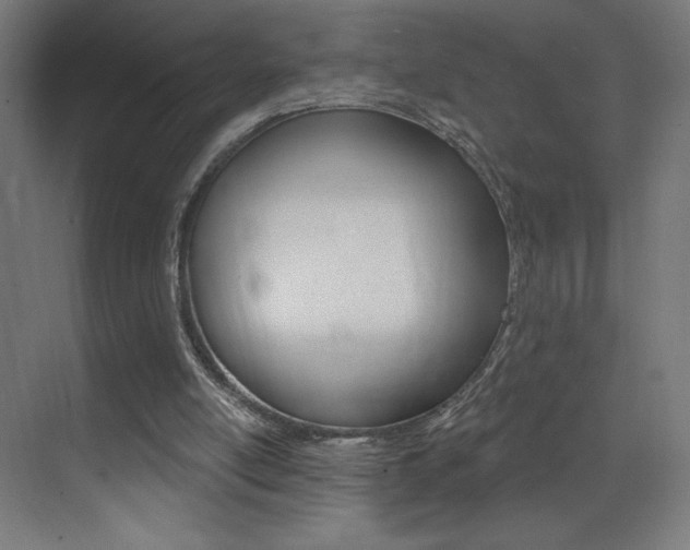 X0000073440054200607281042