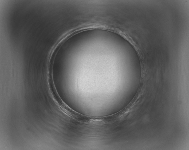 X0000073440055200607281042