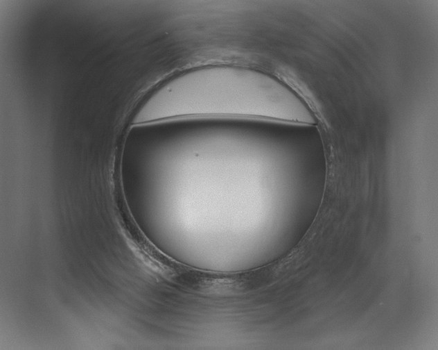 X0000073440058200607281042