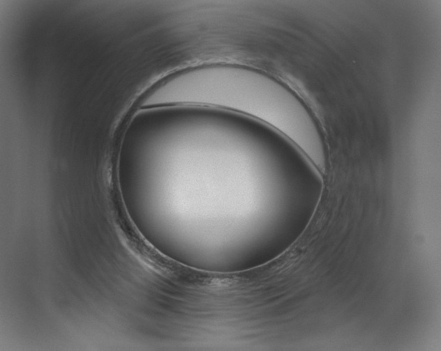 X0000073440060200607281042