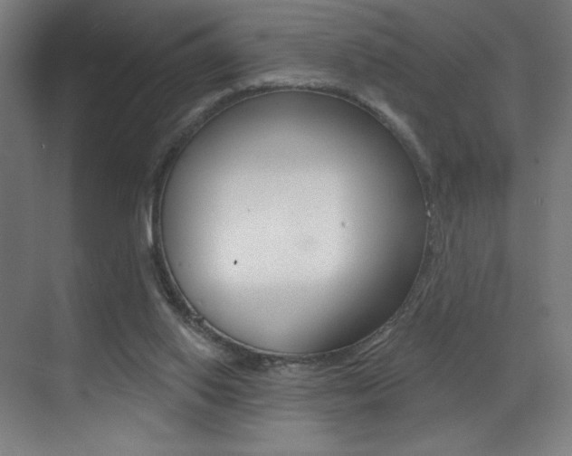 X0000073440062200607281042