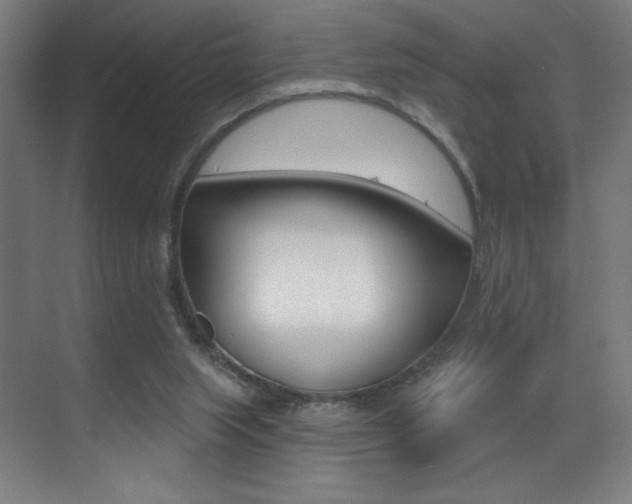 X0000073440063200607281042