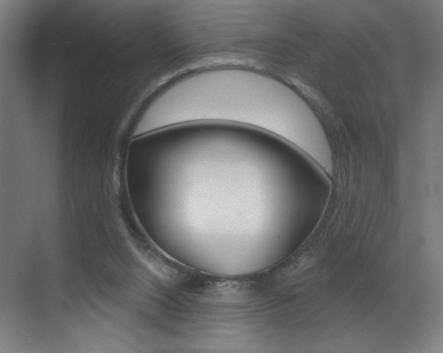 X0000073440064200607281042