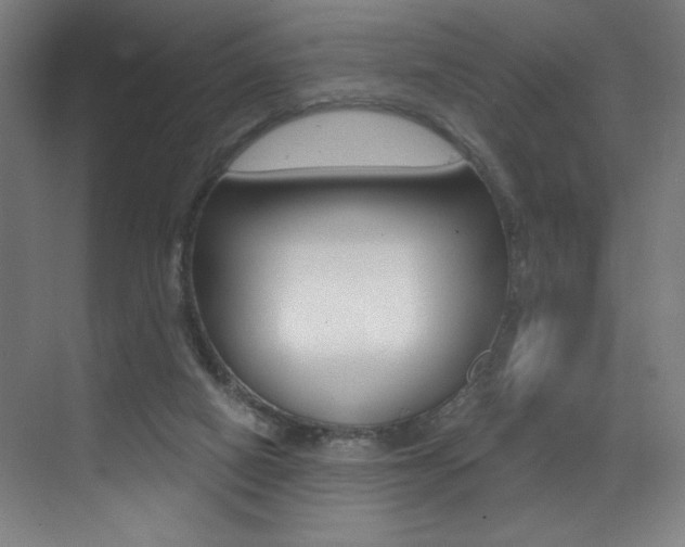 X0000073440066200607281042