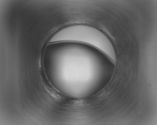 X0000073440068200607281042