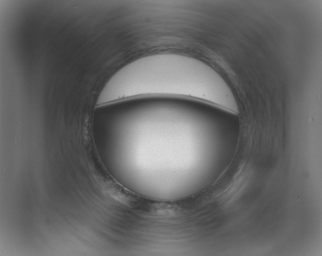 X0000073440073200607281042