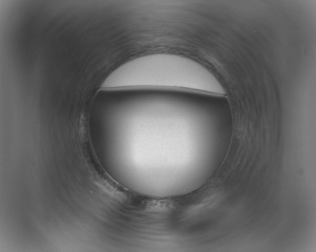 X0000073440077200607281042